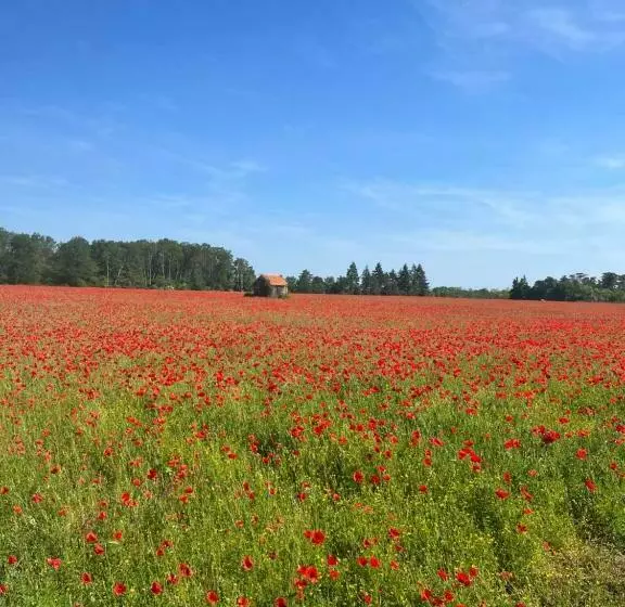 Aamiaismajoitus (B&B) Oh ! Fleurs Des Champs