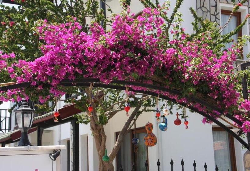 בית מלון כפרי Loya Vita