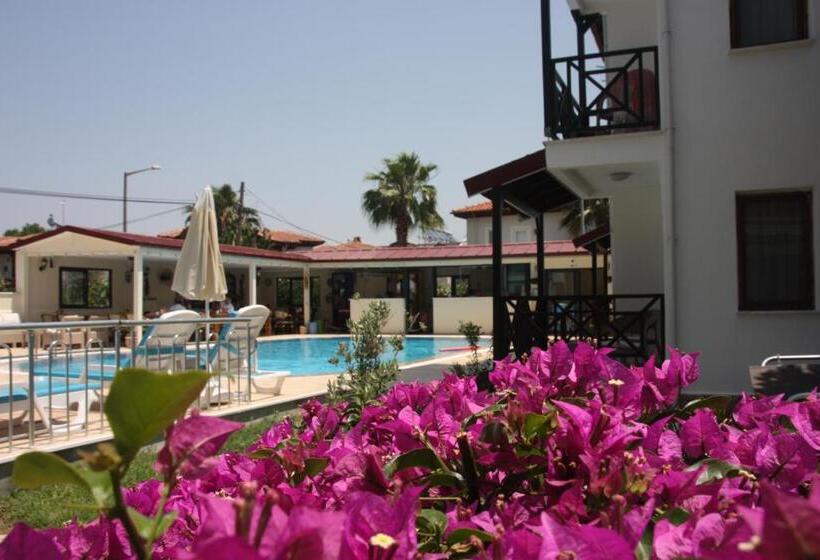 בית מלון כפרי Loya Vita