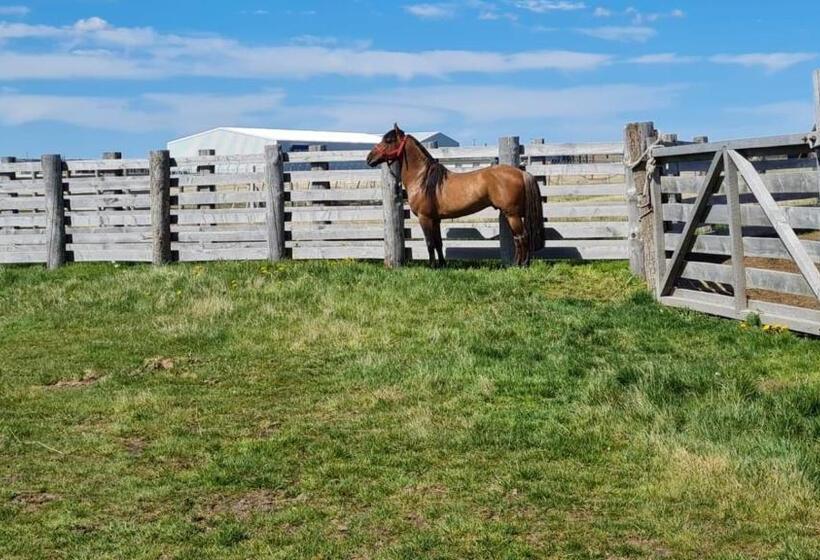 هتل Hacienda Dorotea