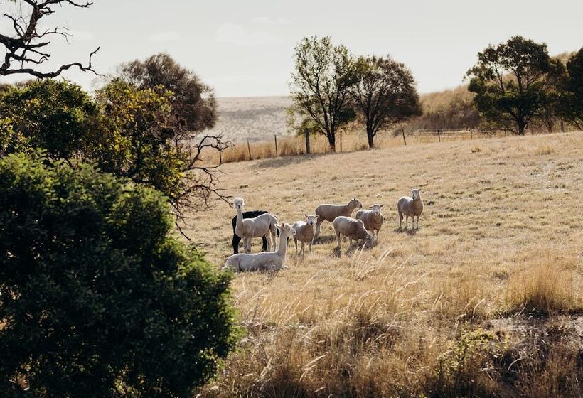 בית מלון כפרי Iron Creek Bay Estate
