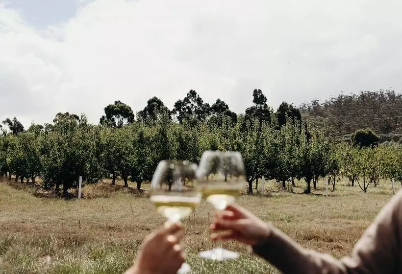 Hotelli Iron Creek Bay Estate