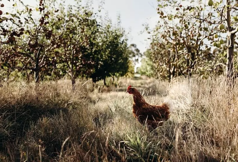 Hotelli Iron Creek Bay Estate