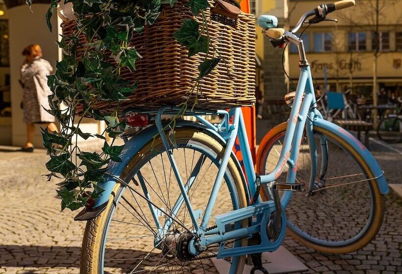 هتل Das Regensburg