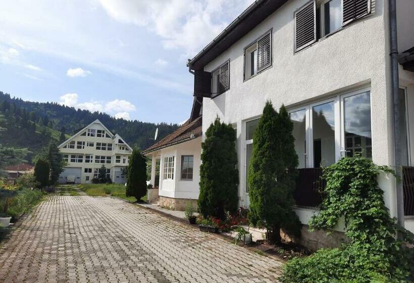 פנסיון Antal Apartmans Lunca De Sus Kulcsosház Gyimesfelsőlok