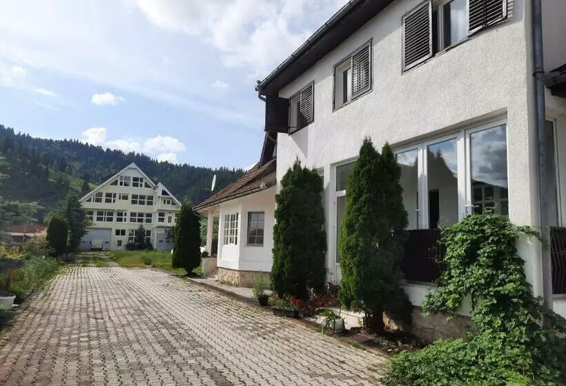 ペンション Antal Apartmans Lunca De Sus Kulcsosház Gyimesfelsőlok