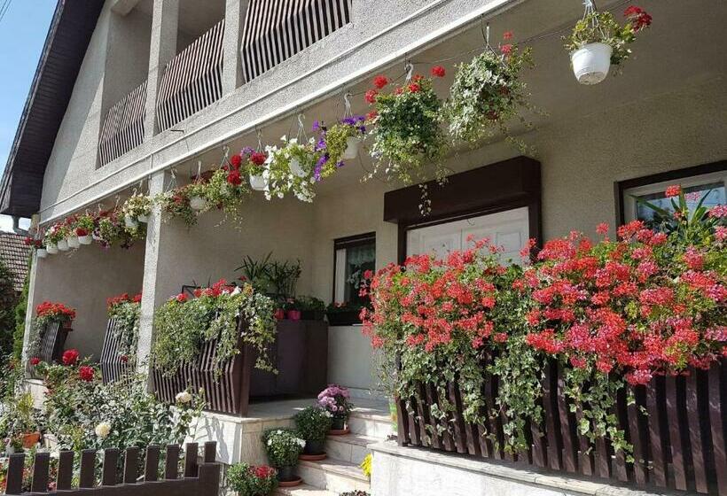 פנסיון Antal Apartmans Lunca De Sus Kulcsosház Gyimesfelsőlok