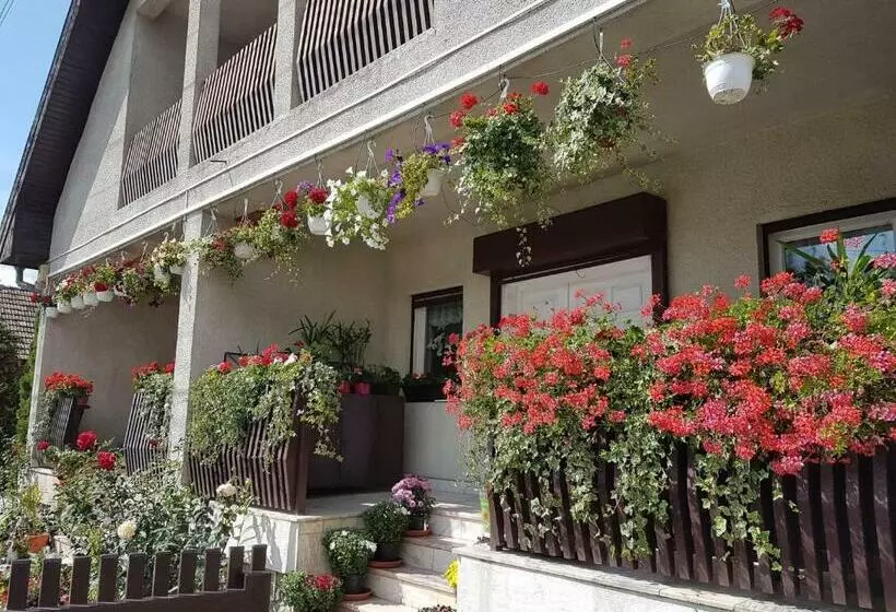 ペンション Antal Apartmans Lunca De Sus Kulcsosház Gyimesfelsőlok