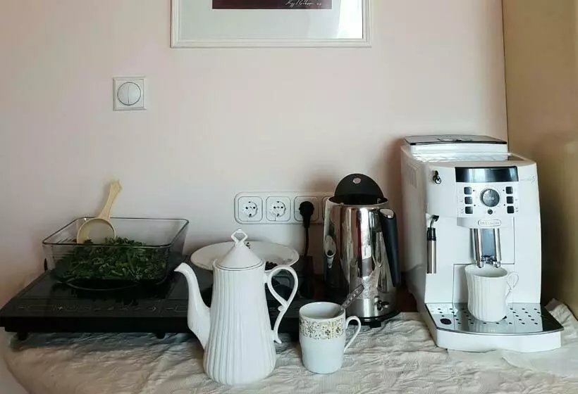 ペンション Antal Apartmans Lunca De Sus Kulcsosház Gyimesfelsőlok