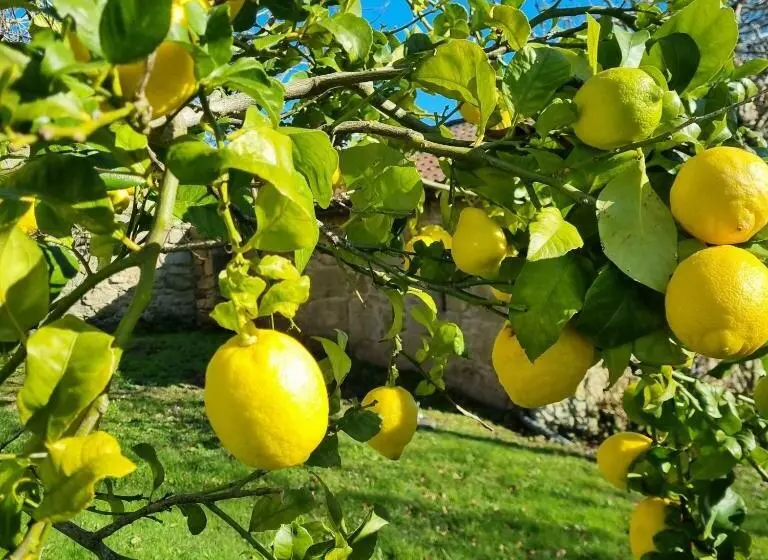 リゾートホテル Terranam Bed & Breakfast