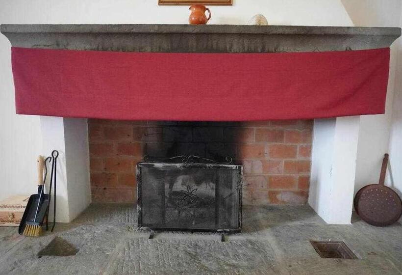 호텔 Agriturismo Podere Santa Virginia