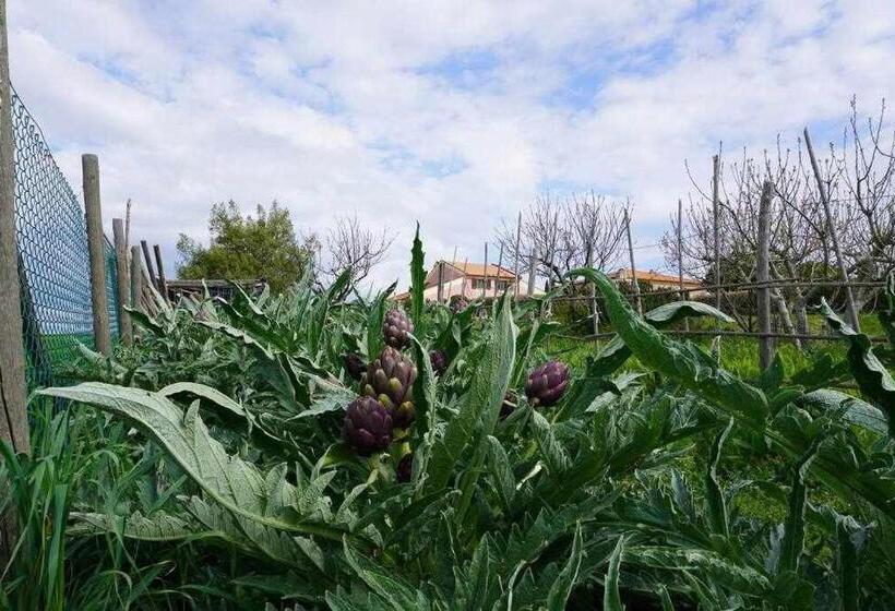 호텔 Agriturismo Podere Santa Virginia