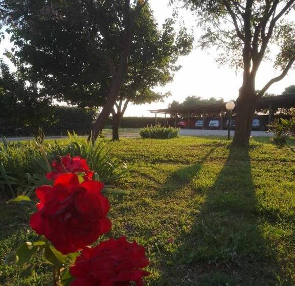 호텔 Agriturismo Podere Santa Virginia