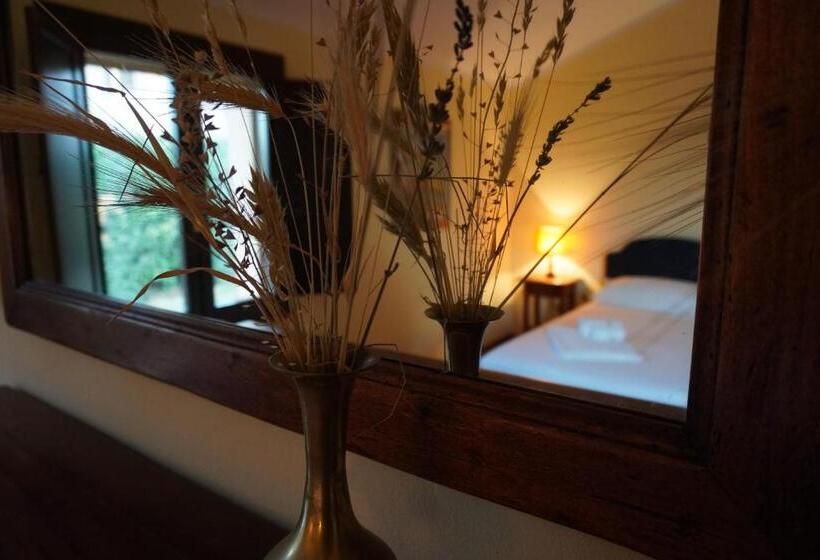 호텔 Agriturismo Podere Santa Virginia