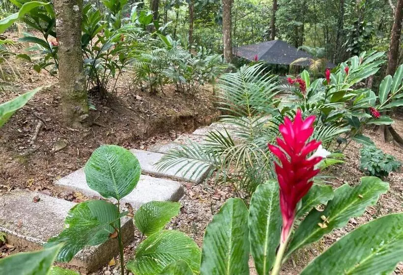 ホテル Wayra Club