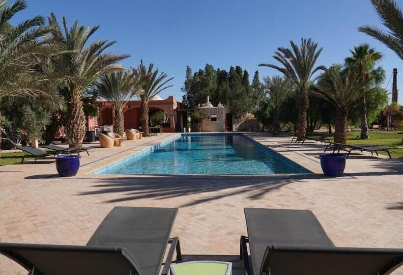 Pension L’oasis De Kima