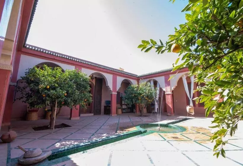 Majatalo L’oasis De Kima