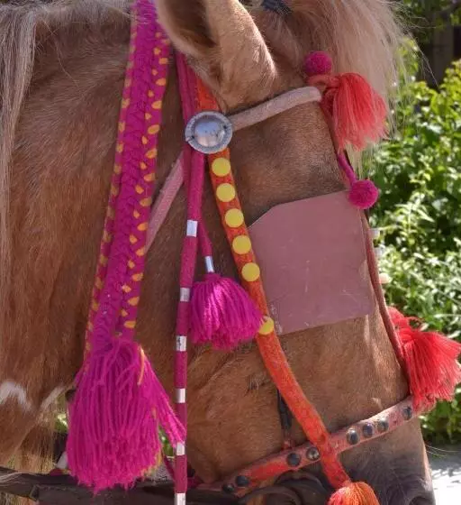 ホテル La Siesta Bungalows Only Adults