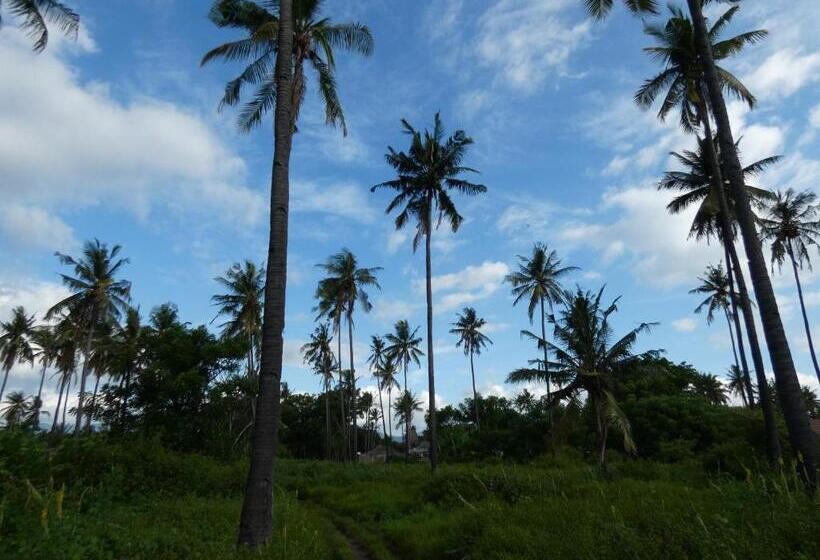 בית מלון כפרי La Siesta Bungalows Only Adults