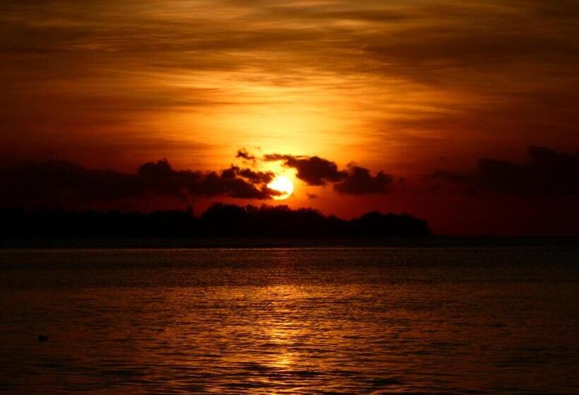 בית מלון כפרי La Siesta Bungalows Only Adults