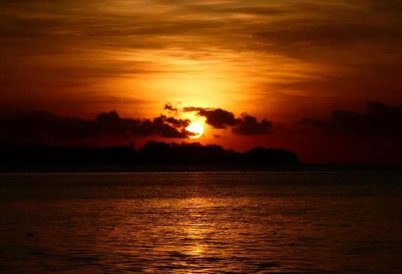 ホテル La Siesta Bungalows Only Adults