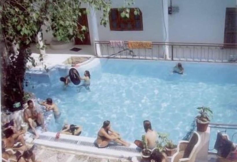 בית מלון כפרי Oasis