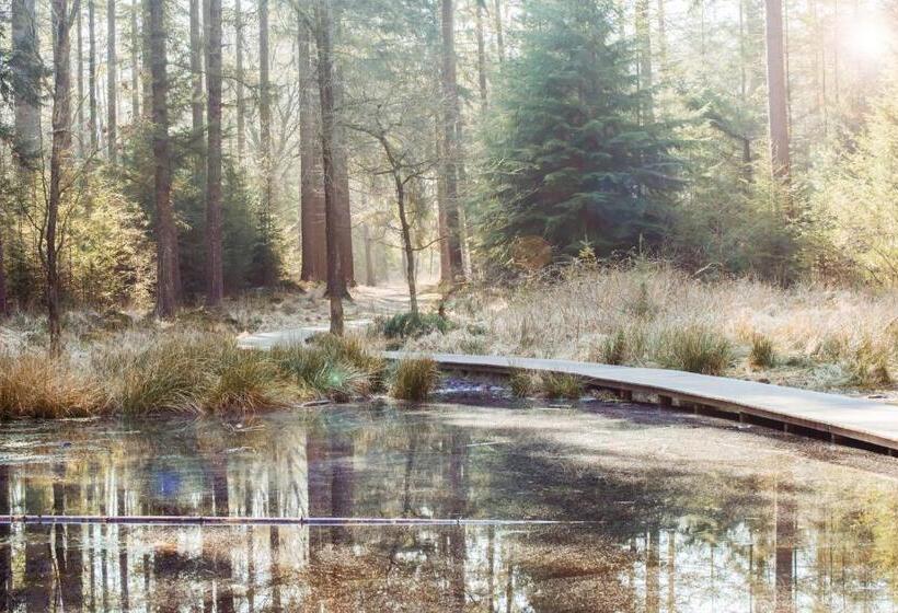 צימר Bnb It Hazzeleger Beetsterzwaag