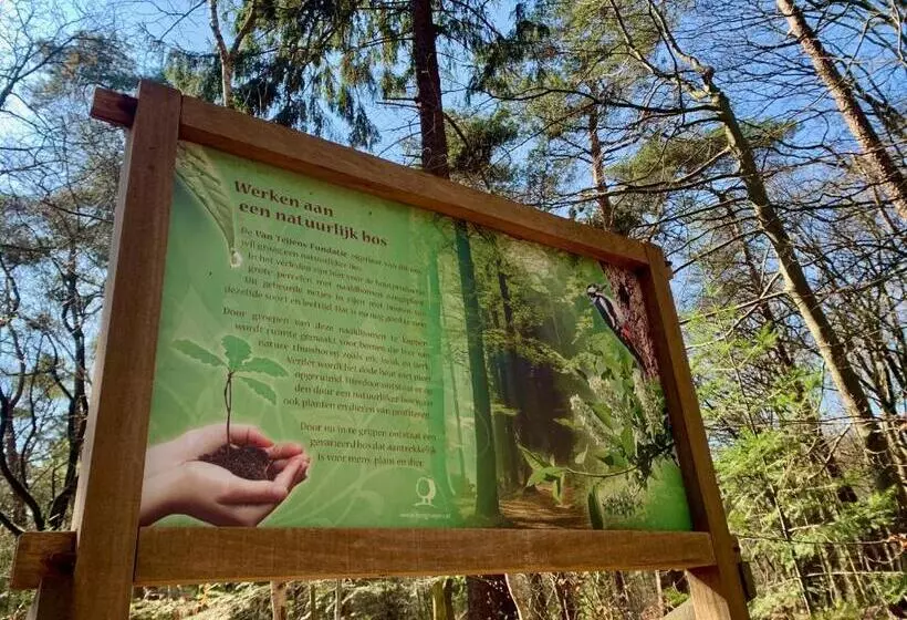Aamiaismajoitus (B&B) Bnb It Hazzeleger Beetsterzwaag