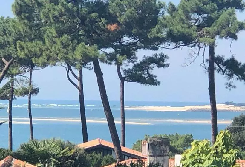 ベッドアンドブレックファースト Chambre D’hôtes Pyla Sur Mer