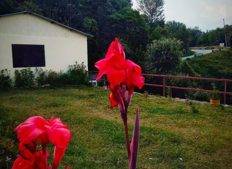 Chaukhamba View Resort