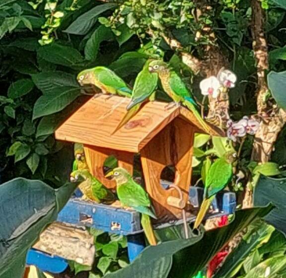 膳宿费 Chalé Das Pedras   Engenho D Agua  Ilhabela