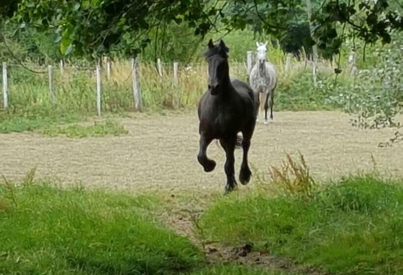 Bed and Breakfast La Roulotte Du Haut Pinleu