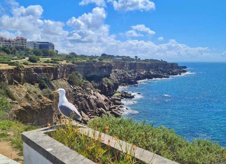 Aamiaismajoitus (B&B) Moro S Friends House   Cascais