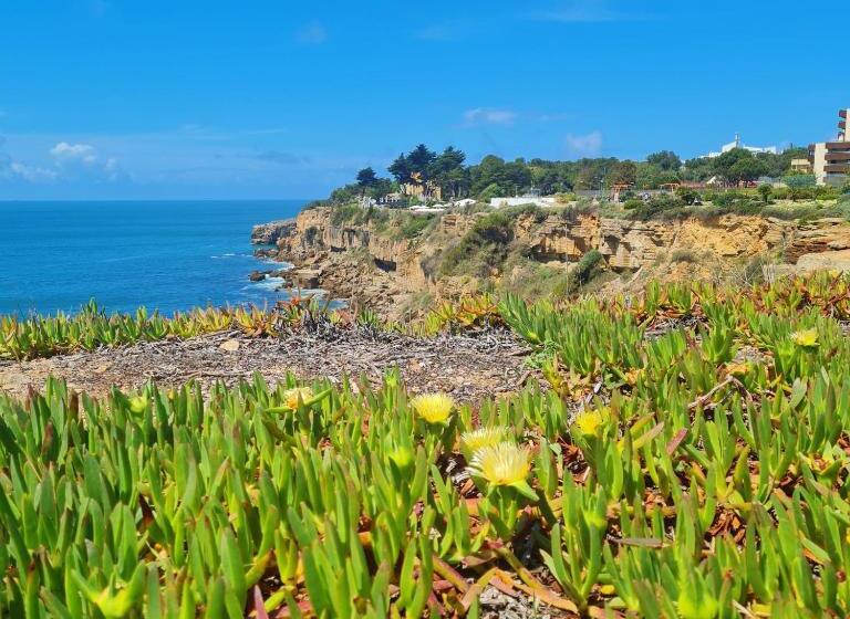 Aamiaismajoitus (B&B) Moro S Friends House   Cascais