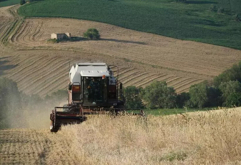 ベッドアンドブレックファースト Villa Di Agricoltori