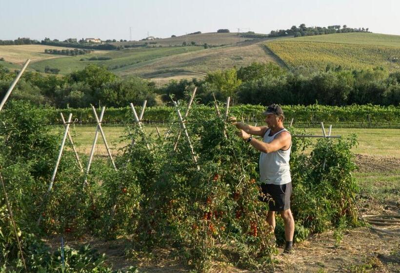 Bed and Breakfast Villa Di Agricoltori