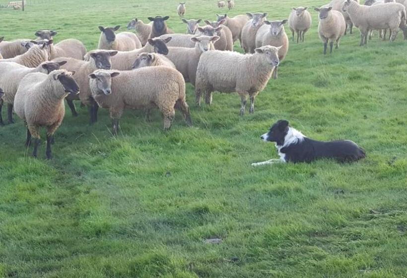 Cockley Hill Farm Bed & Breakfast