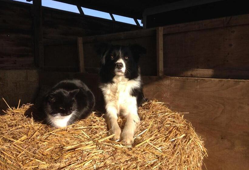 Cockley Hill Farm Bed & Breakfast