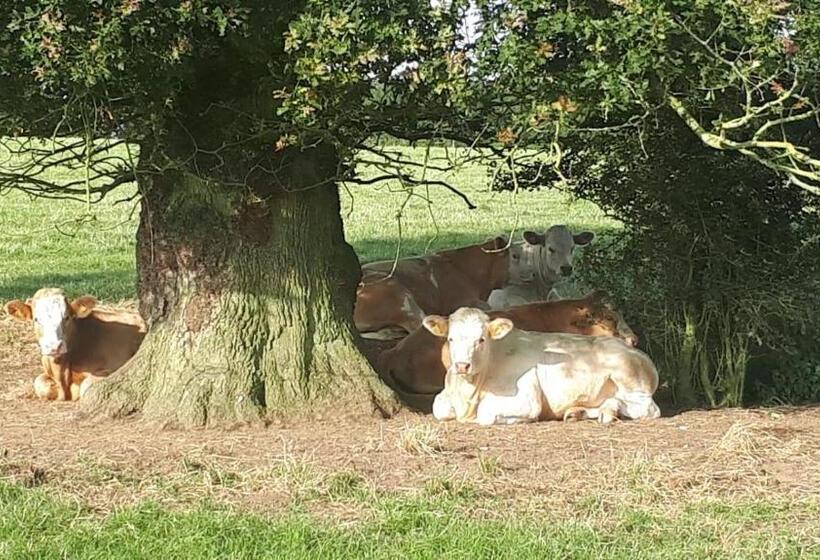 Cockley Hill Farm Bed & Breakfast