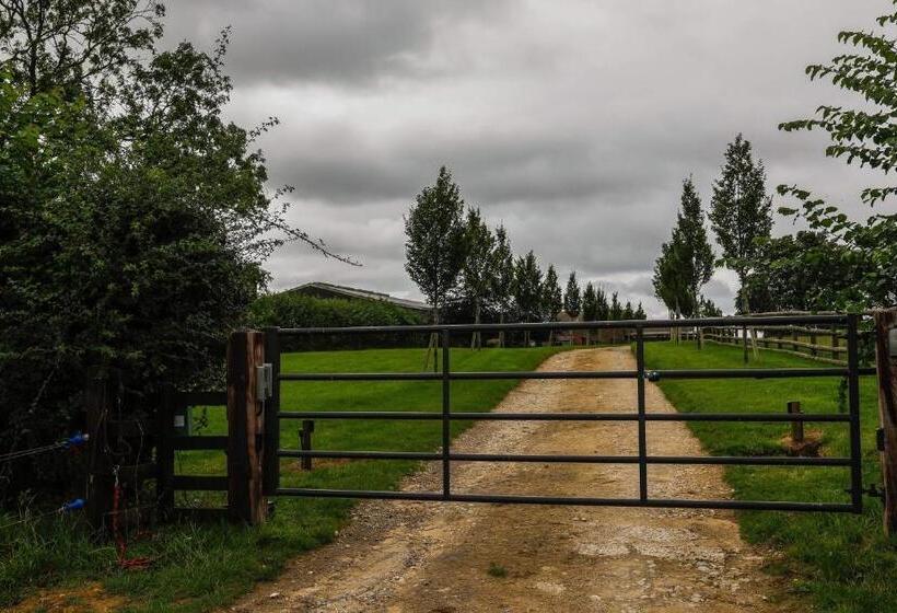 Cockley Hill Farm Bed & Breakfast
