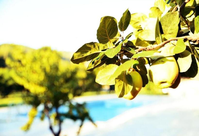 هتل Pir Efes Konakları