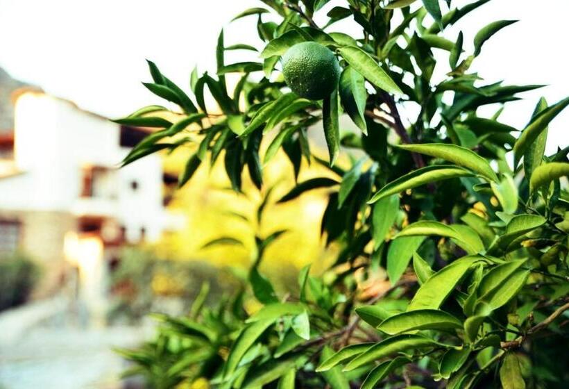 هتل Pir Efes Konakları