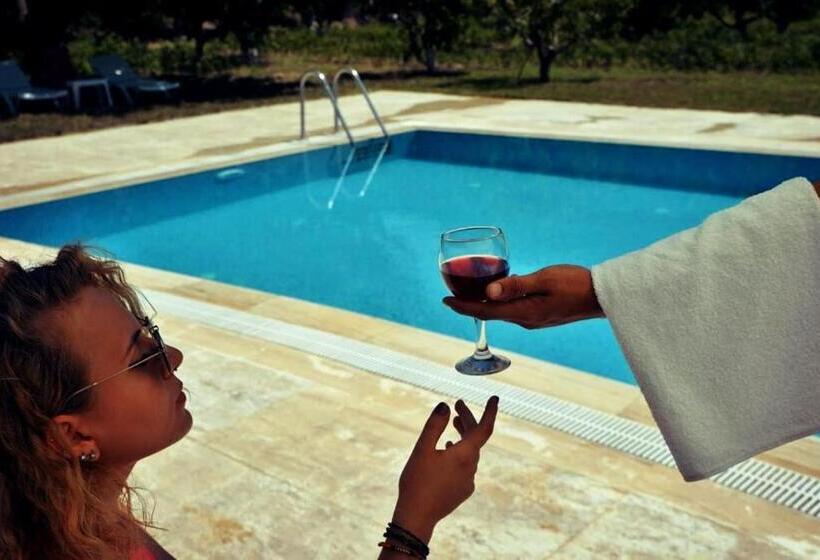 هتل Pir Efes Konakları