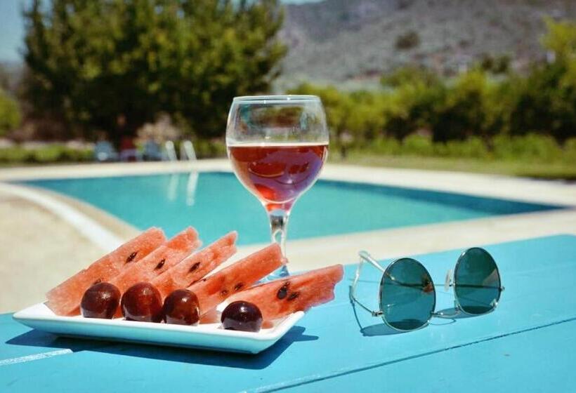 هتل Pir Efes Konakları