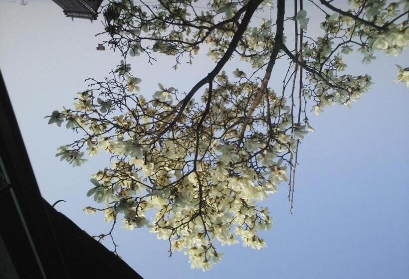 Majatalo Gegege No Guesthouse   Vacation Stay 9460