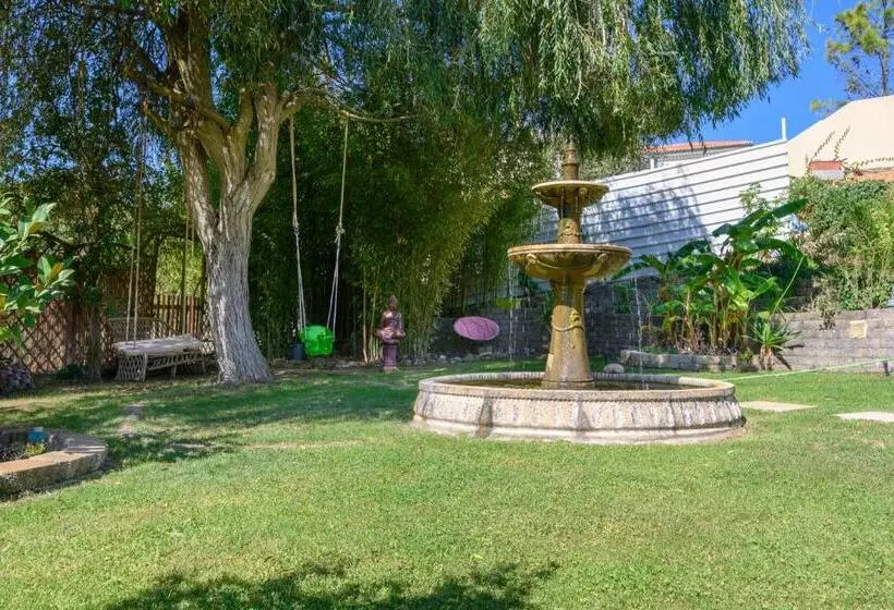 ペンション Quinta Do Vale   Natureza, Piscina E Praia!
