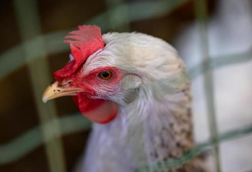 پانسیون Quinta Do Vale   Natureza, Piscina E Praia!