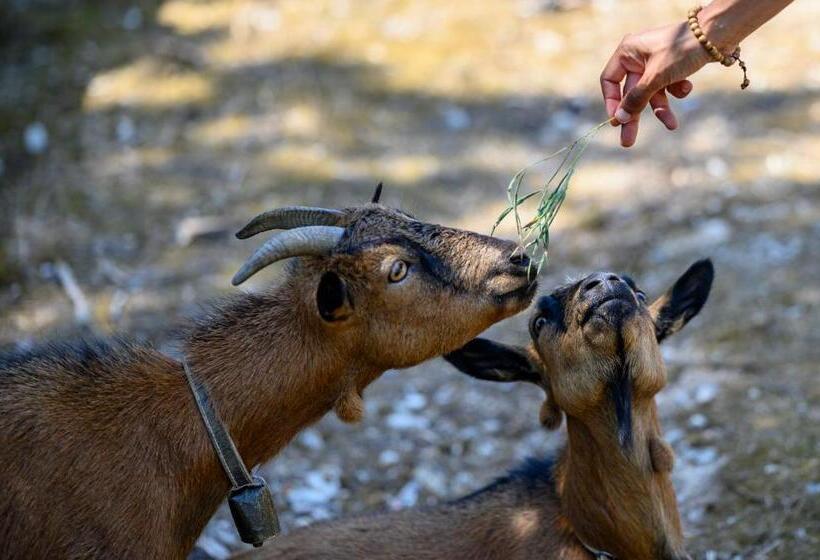 پانسیون Quinta Do Vale   Natureza, Piscina E Praia!