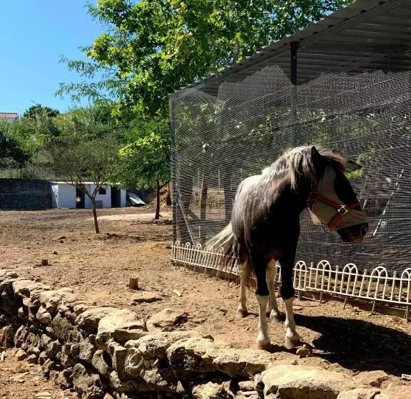 ペンション Quinta Do Vale   Natureza, Piscina E Praia!