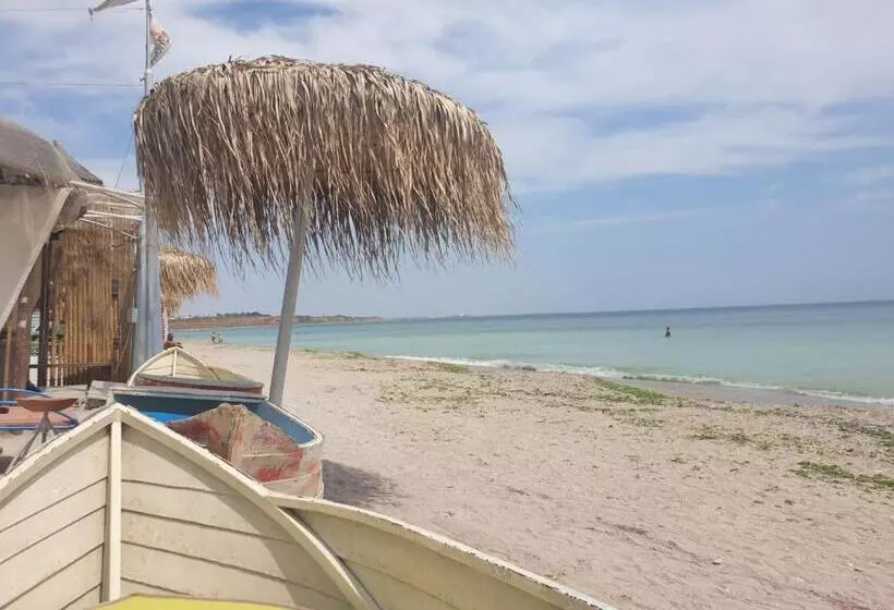 Majatalo Spot Vama Veche